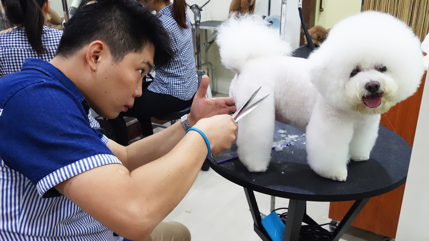 Mobile Dog Grooming Business