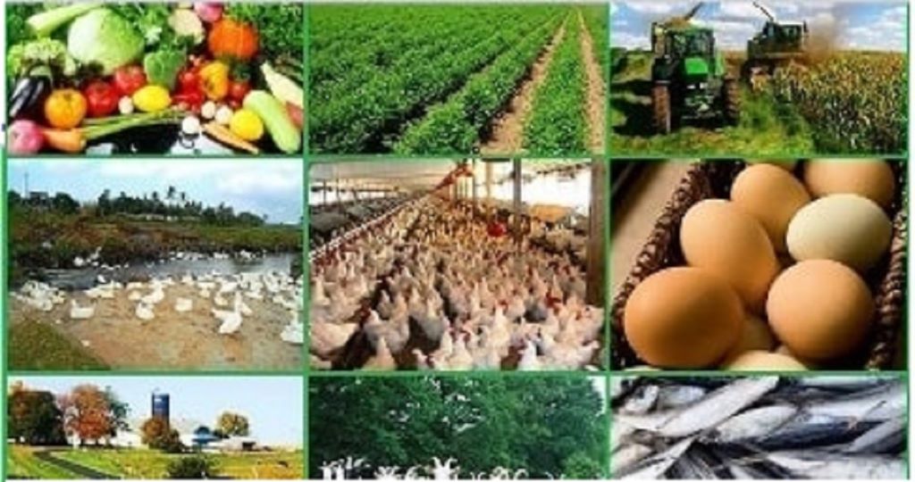 What type of small farm is the most profitable