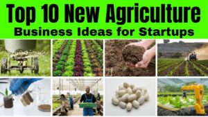 What type of business is best for a farm