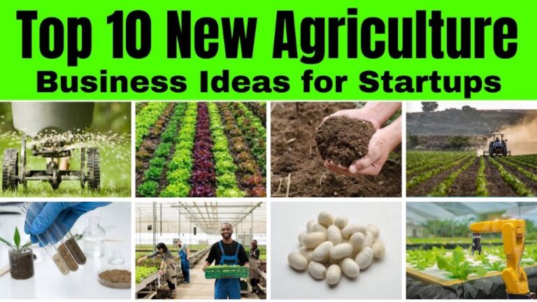 What type of business is best for a farm